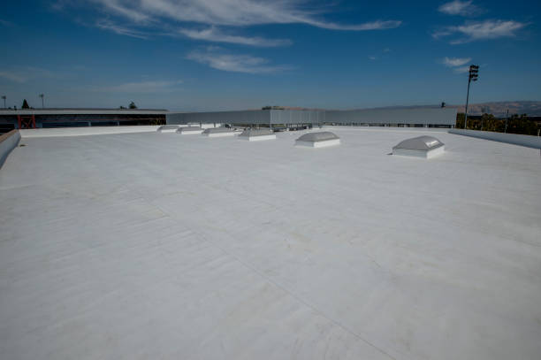 Best Roof Maintenance and Cleaning  in USA